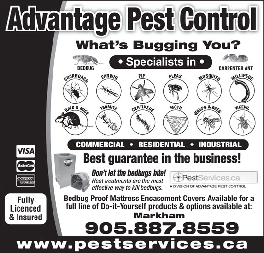 Advantage Pest Control 12931 Progress Ave, Scarborough, ON