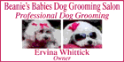 Beanies Babies Dog Grooming - Logo