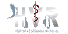 logo Hôpital Vétérinaire du Richelieu