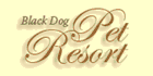 logo Black Dog Firewood