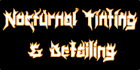 Nocturnal Tinting & Detailing - Logo